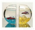 Acrylic fishbowl & fish tank 2
