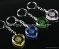 Eye-catching cristal keychain 2