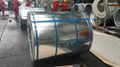 Hot Dip Galvanized Steel Coil 5