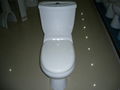 TWO PIECE TOILET