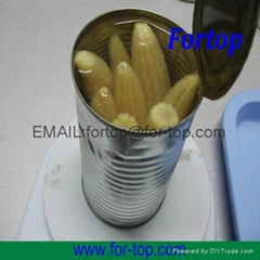 Canned Baby Corn Whole/Cut in Brine