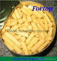 Canned Baby Corn Whole/Cut in Brine 2