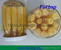 Canned Baby Corn Whole/Cut in Brine 3