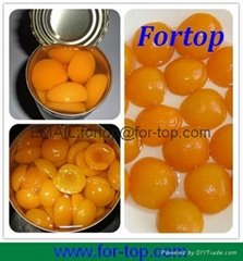Canned Apricot in Syrup
