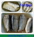 Canned Sardines Fish in Oil 1