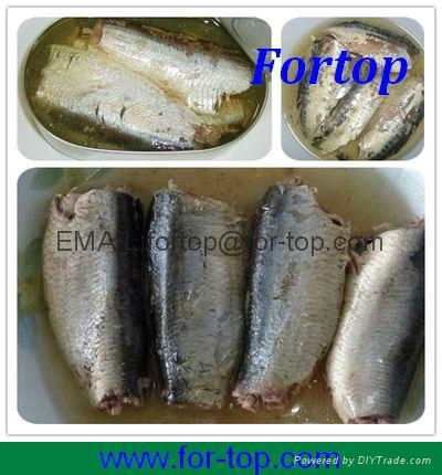 Canned Sardines Fish in Oil