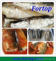 Canned Mackerel Fish in Tomato Sauce