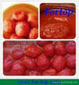 Canned Peeled Tomato Whole in Juice