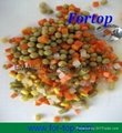 Canned Mix Vegetable in Brine 2