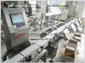 Check Weigher WS-ND(Multi-Sorting System) 2