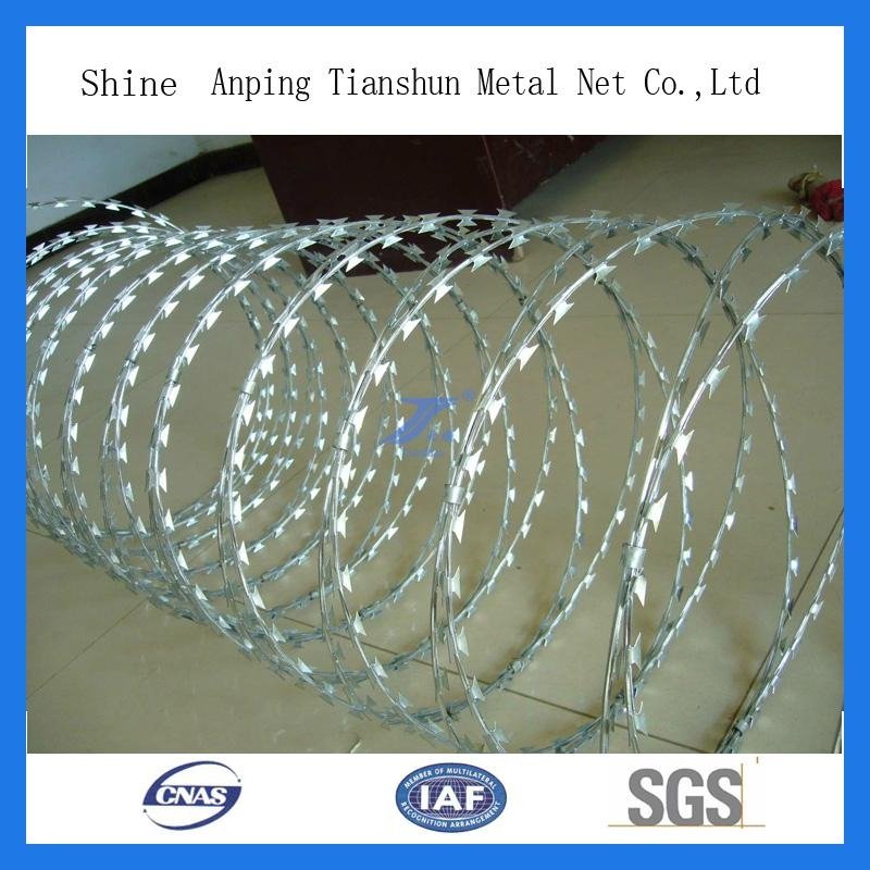 High Security Razor Wire Mesh Fence 4