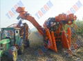  Agriculture Machine Sugar Cane Harvesting Machine SH30  4