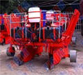 2014 2CZ-2 sugarcane planting machine for sale 1