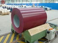 Prepainted galvanized steel sheet 1