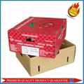 Cherry Packing Corrugated Boxes 1