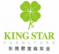 Dongguan King Star Industries Co., Ltd