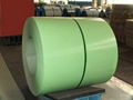 Pre-painted Galvanized Steel Coil/PPGI