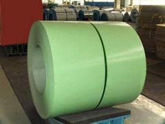 Pre-painted Galvanized Steel Coil/PPGI