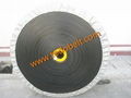 oil resistant conveyor belt