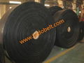 heat resistant conveyor belt