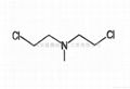 盐酸氮芥 2