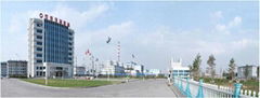  Inner Mongolia Shuangxin Environment-Friendly Material Co., Ltd. 