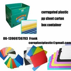 pp plastic corrugated box