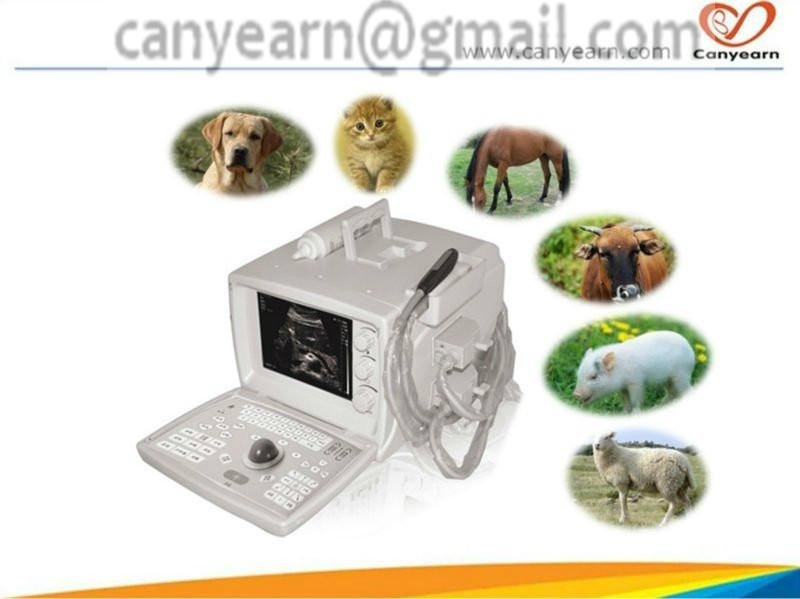 CE U625V Pet Portable Ultrasound Machine