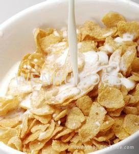 cereal specific non dairy creamer cereal creamer 2