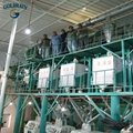 Wheat flour milling machines with price 4