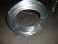 Galvanized iron wire 1