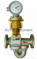 AUTO Shunt Rotor Flowmeter