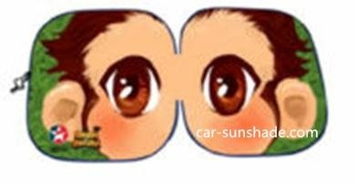 car sunshade