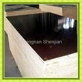 bamboo plywood for bridge construction 2