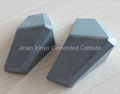 Tungsten Carbide Cutting Insert OEM 1