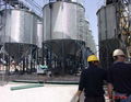 Galvanized Feed Silo 1