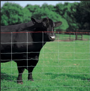 Grassland fence