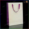 Custom Made Paper Bag Printing with Best Price 2