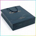 Custom Made Paper Bag Printing with Best Price 4