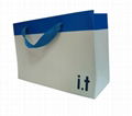 Custom Made Paper Bag Printing with Best Price 5