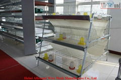 New Design Poultry Chciken Cages For