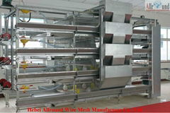 layer cage for poultry chicken pullet housing equipment