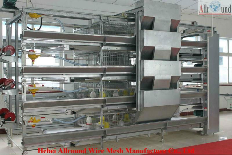 layer cage for poultry chicken pullet housing equipment    