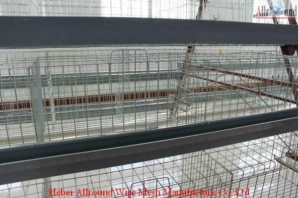 layer cage for poultry chicken pullet housing equipment     2