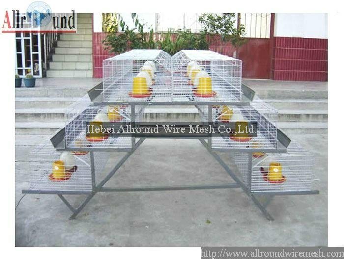 layer cage for poultry chicken pullet housing equipment     3