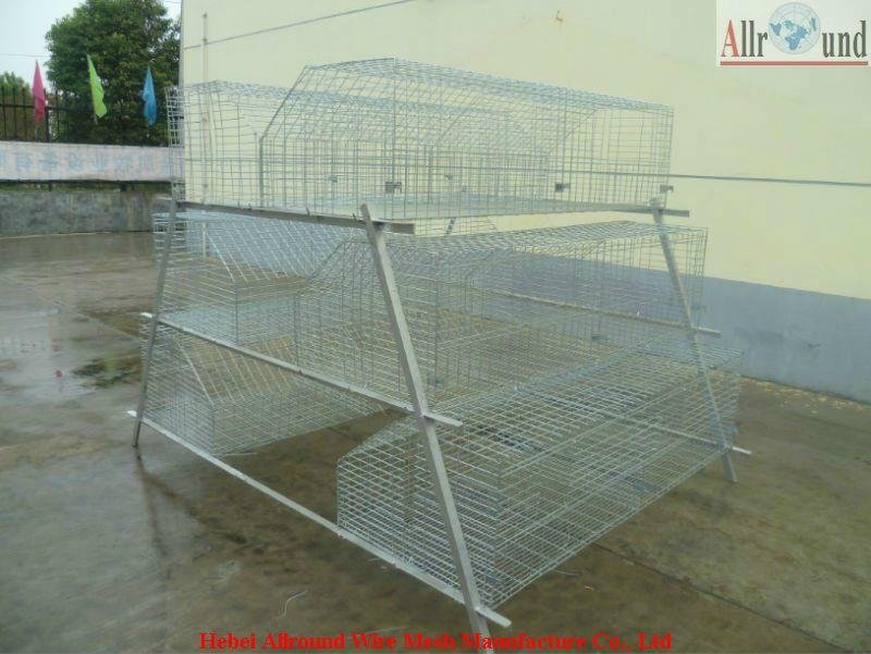 layer cage for poultry chicken pullet housing equipment     5