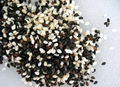 White Sesame seed 1