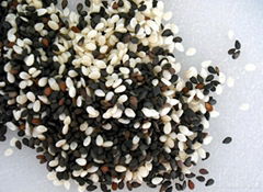 White Sesame seed