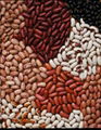 Kidney Beans 1