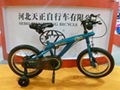 Children BMX bike 1